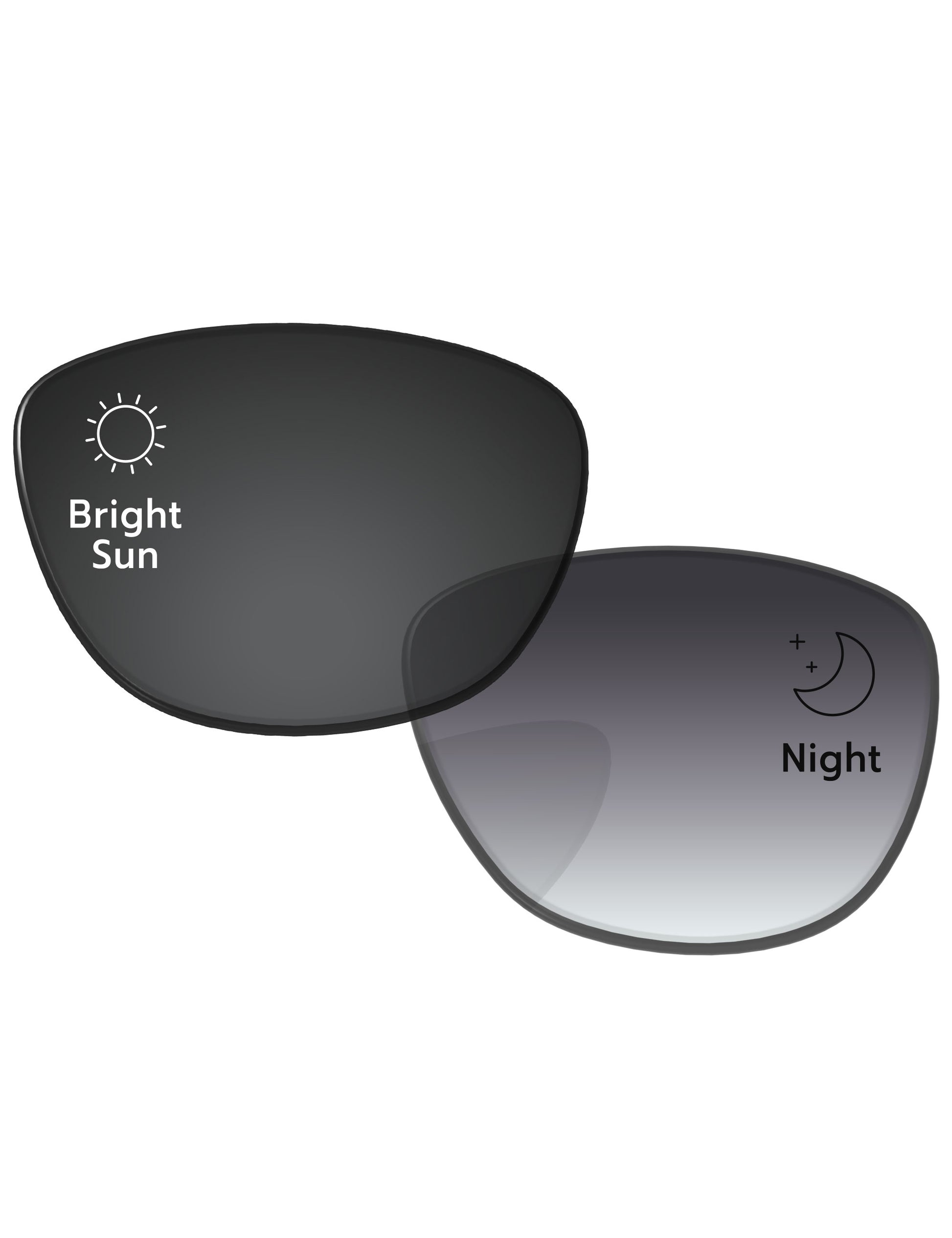Gray Gradient Photochromic-Standard