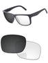 Gray-Photochromic