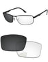 Gray-Photochromic
