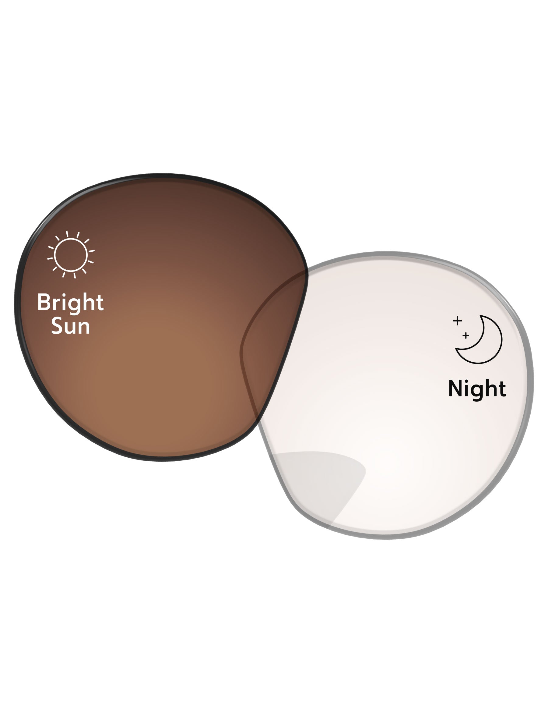 Eclipse Brown Photochromic-Pro+