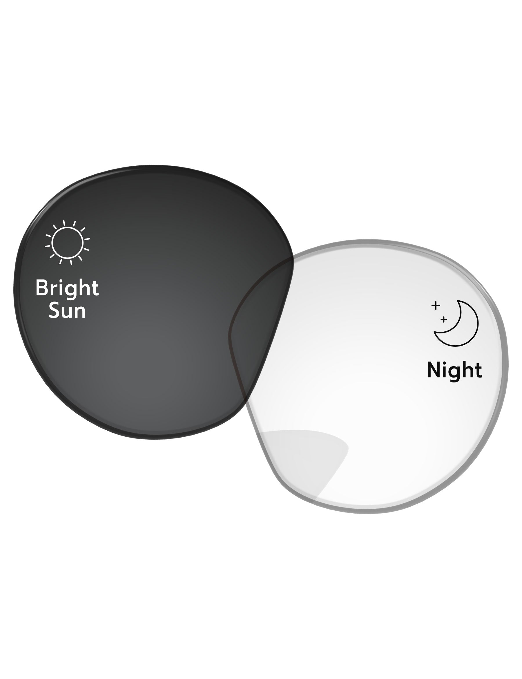 Eclipse Gray Photochromic-Standard