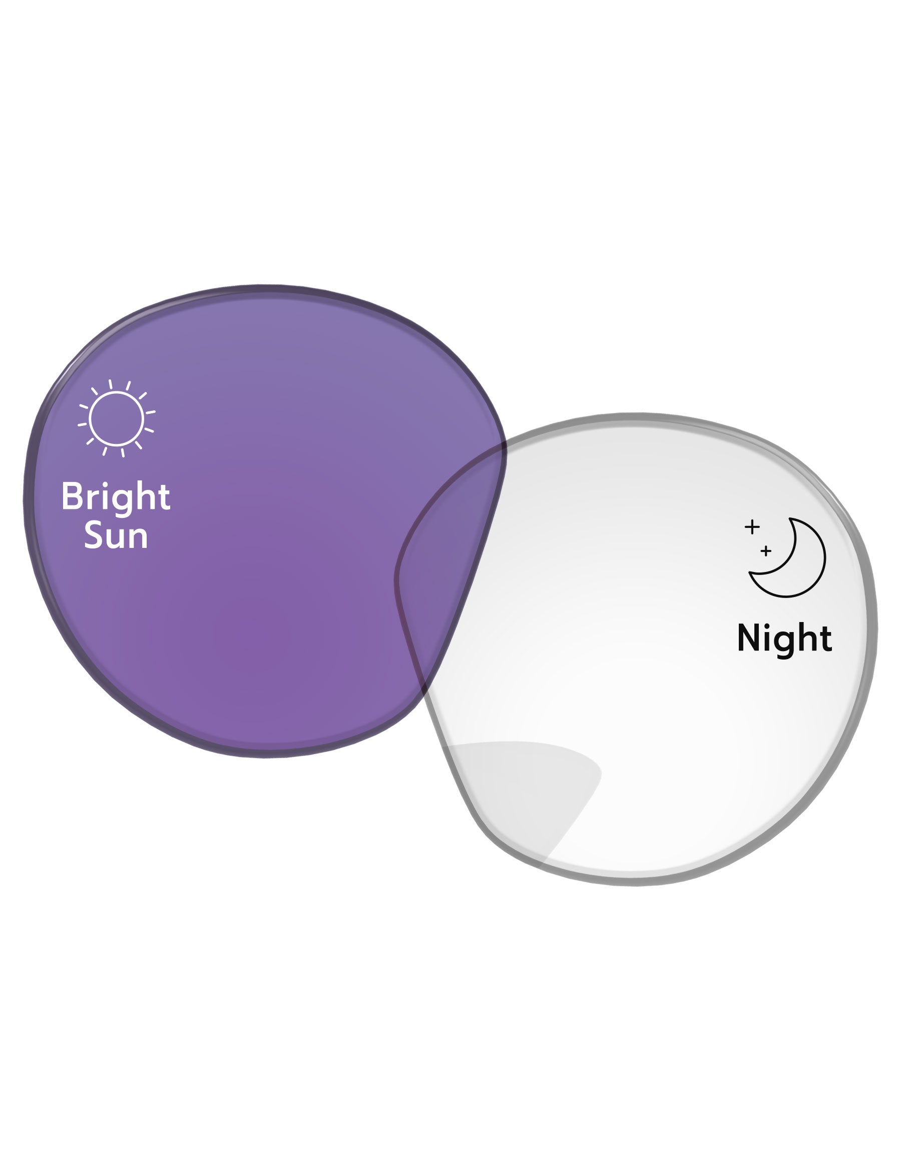 Eclipse Purple Photochromic-Standard