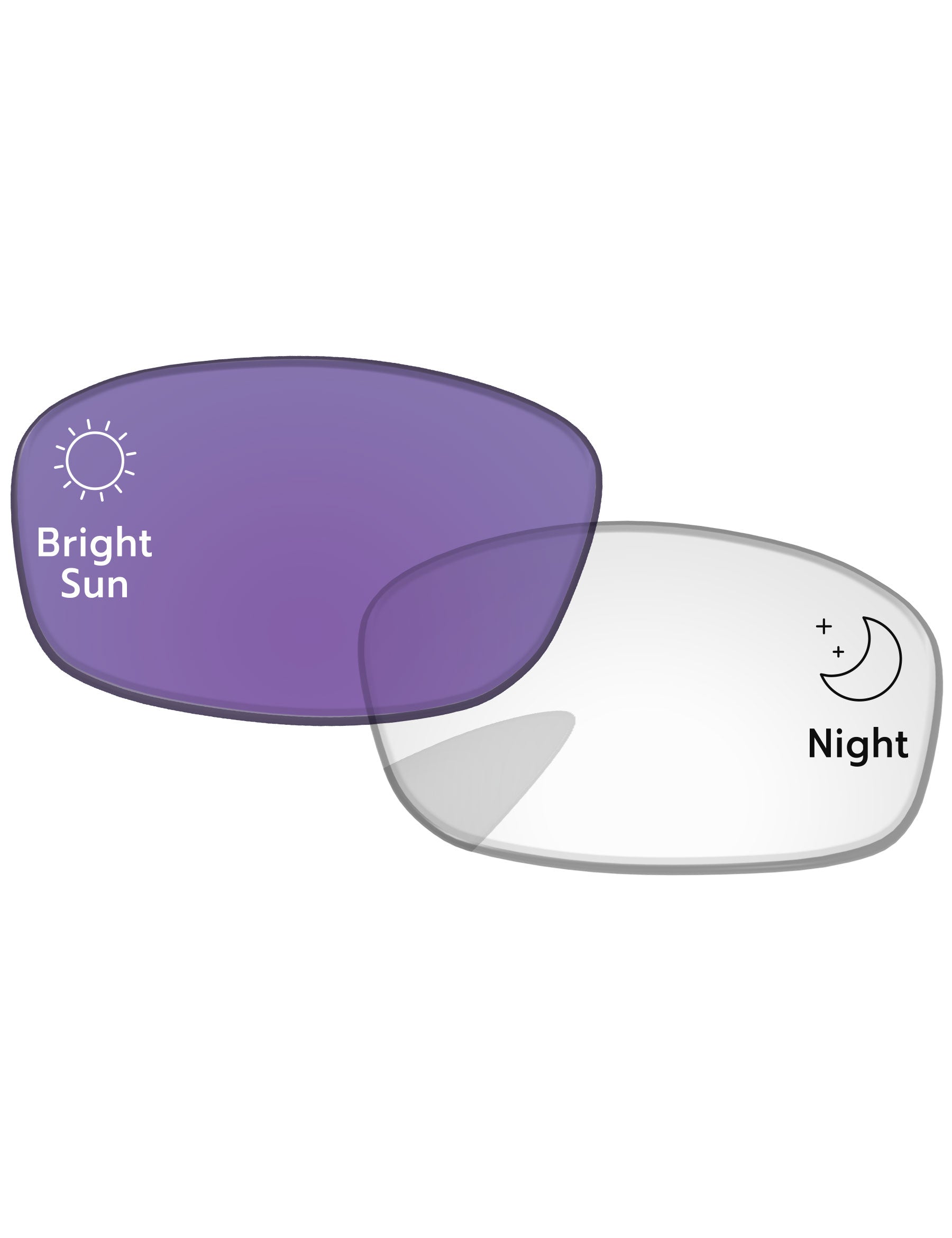 Eclipse Purple Photochromic-Standard