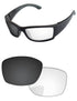 Gray-Photochromic