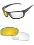 Gold-Shield-Photochromic