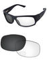 Gray-Photochromic