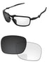 Gray-Photochromic