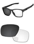 Gray-Photochromic