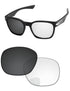 Gray-Photochromic