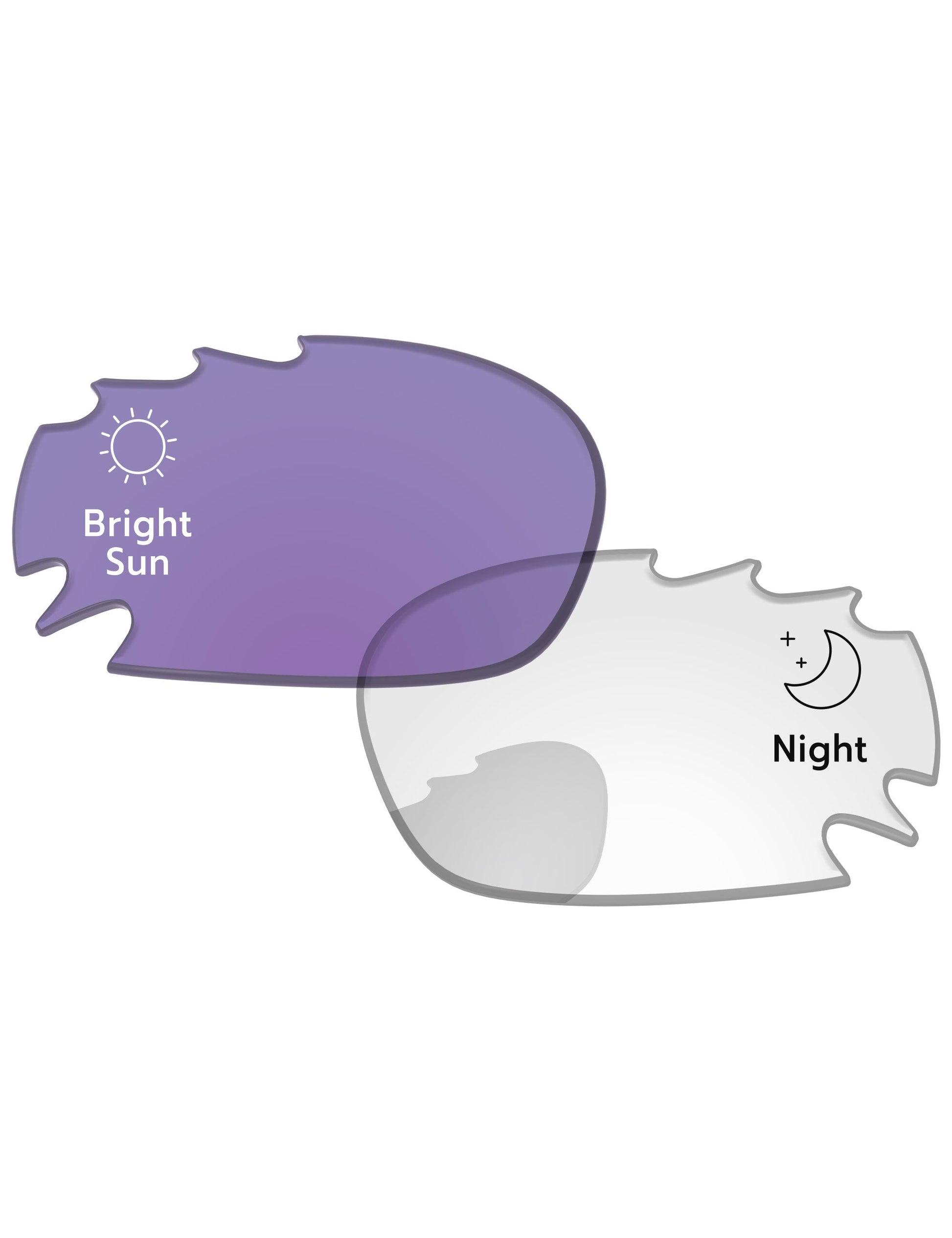 Eclipse-Purple-Photochromic