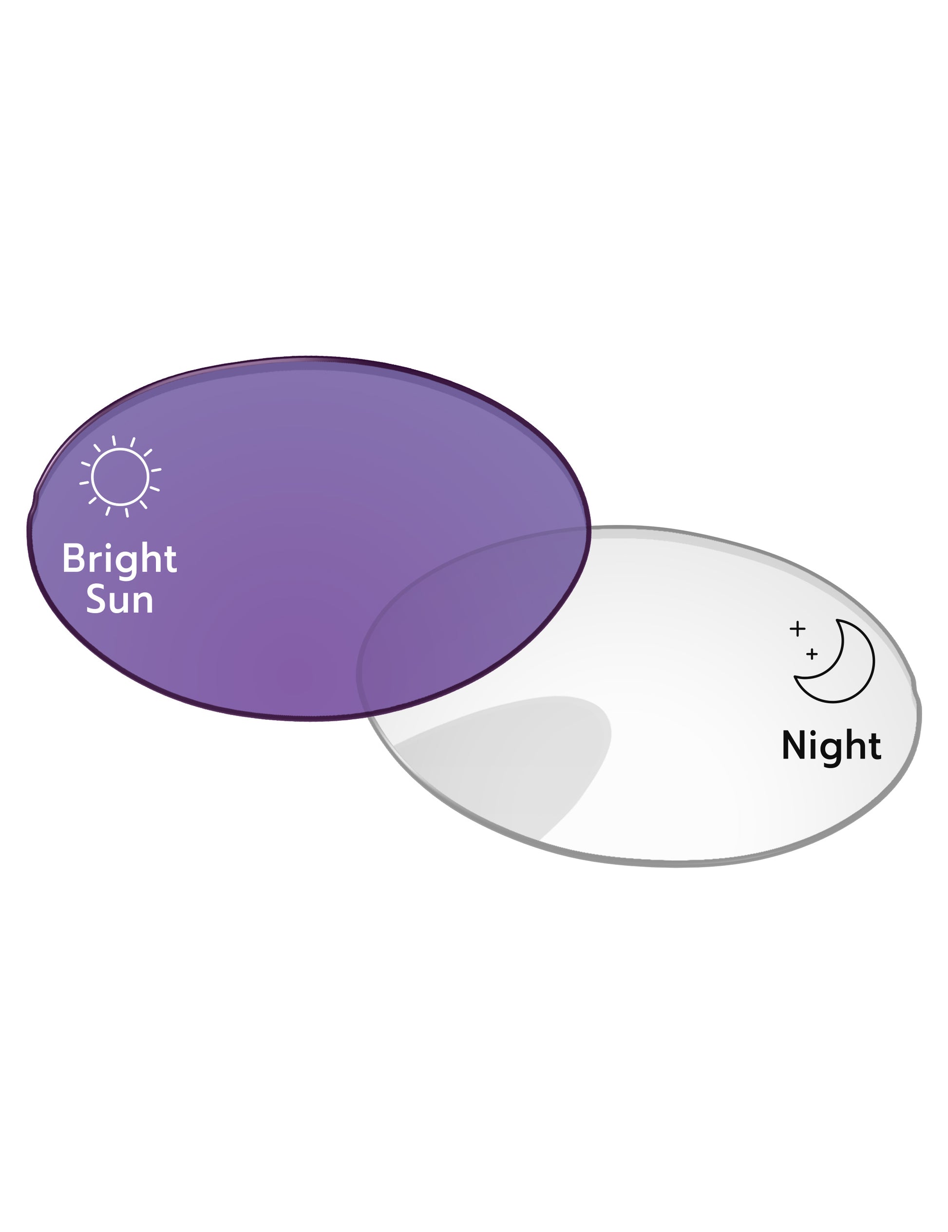 Eclipse-Purple-Photochromic