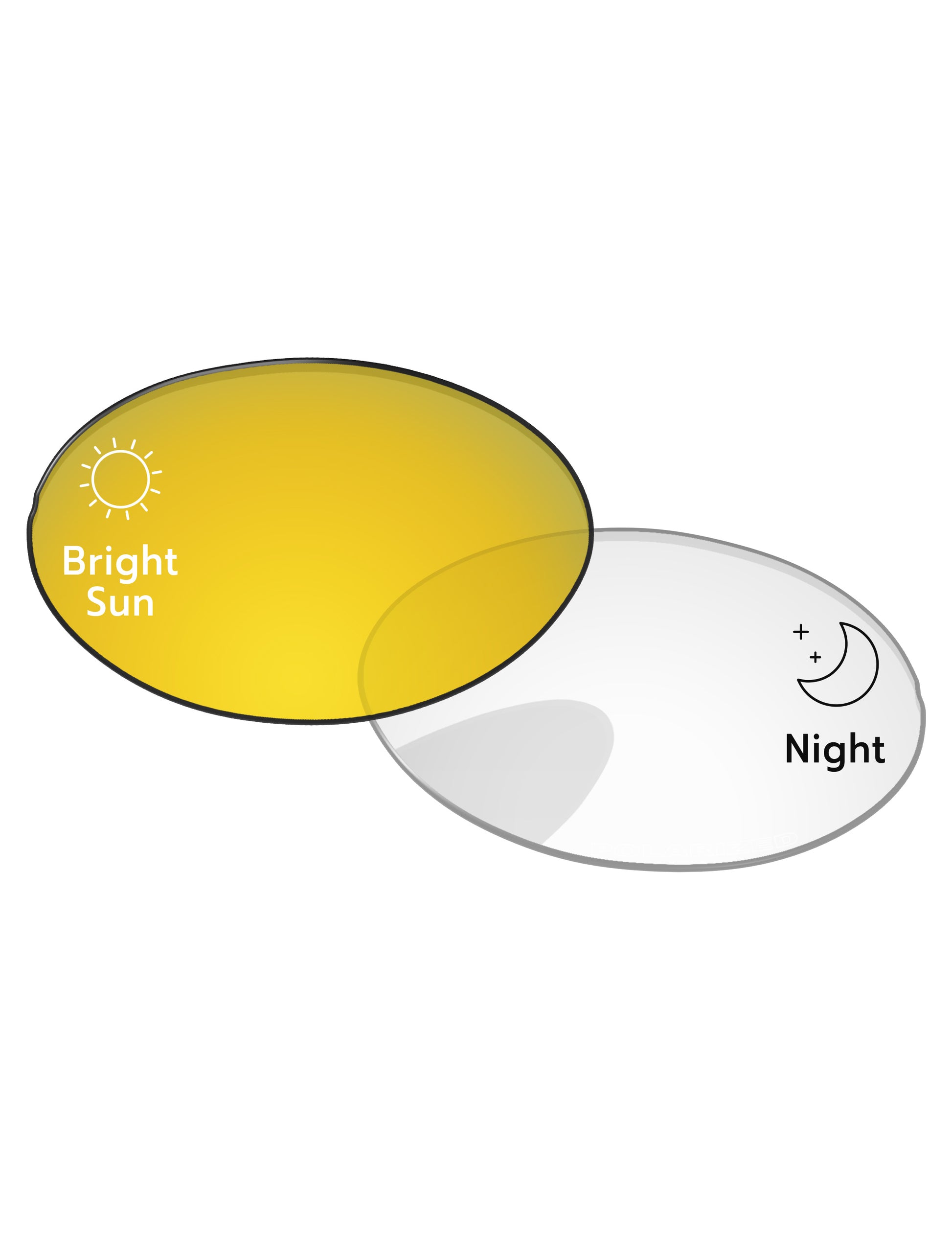 Gold-Shield-Photochromic