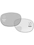 Gray-Photochromic