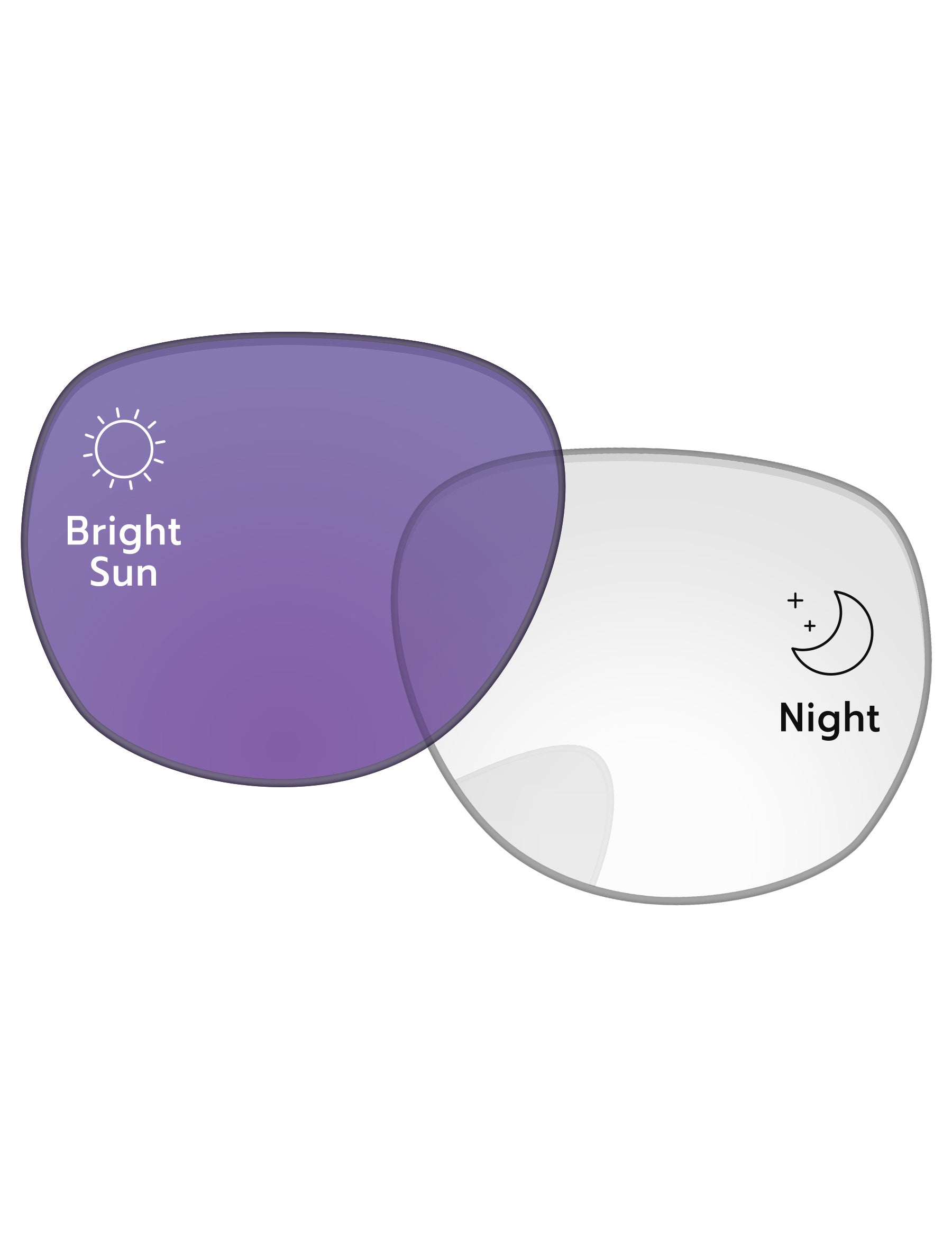 Adapt Purple Photochromic-Standard