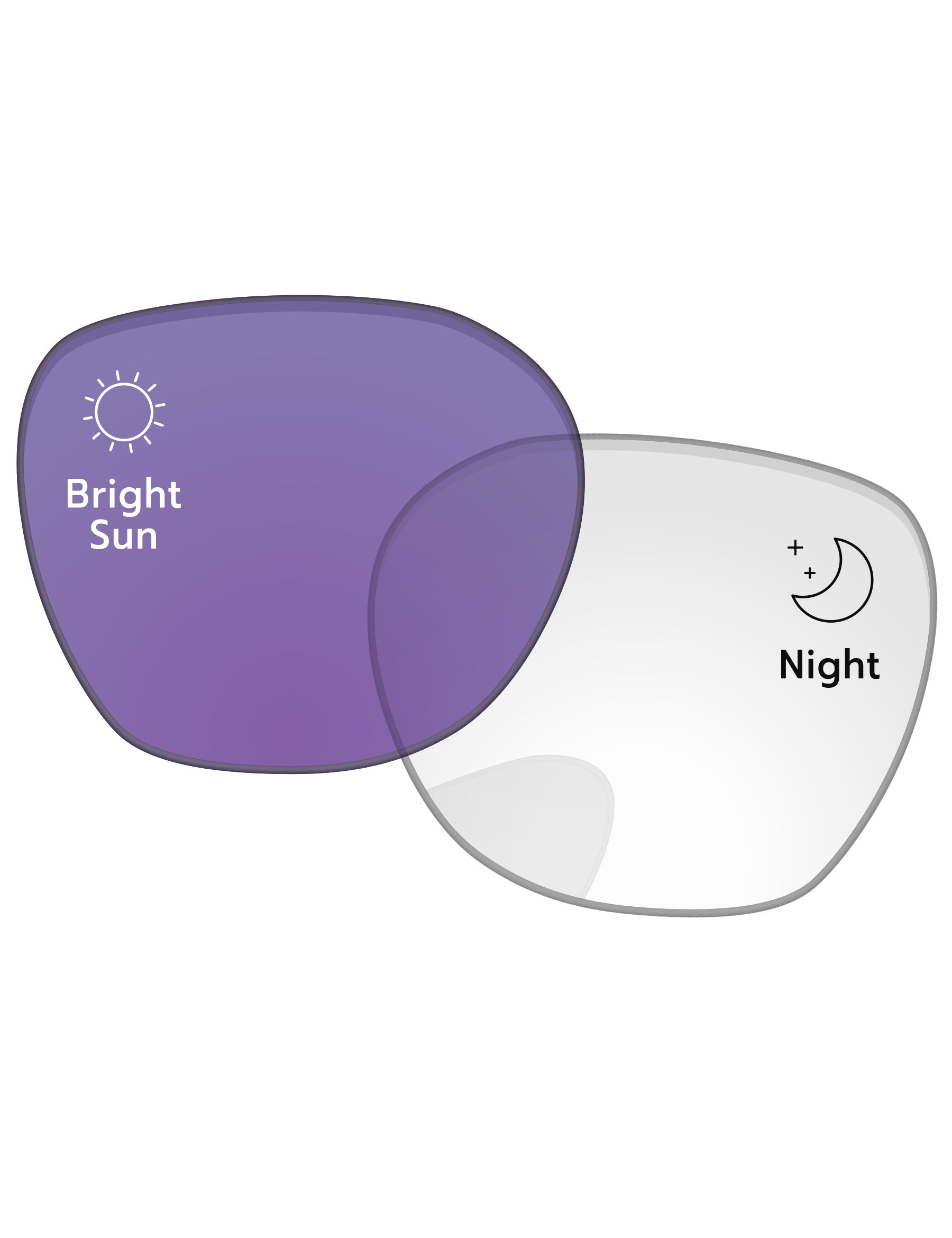 Adapt Purple Photochromic-Standard