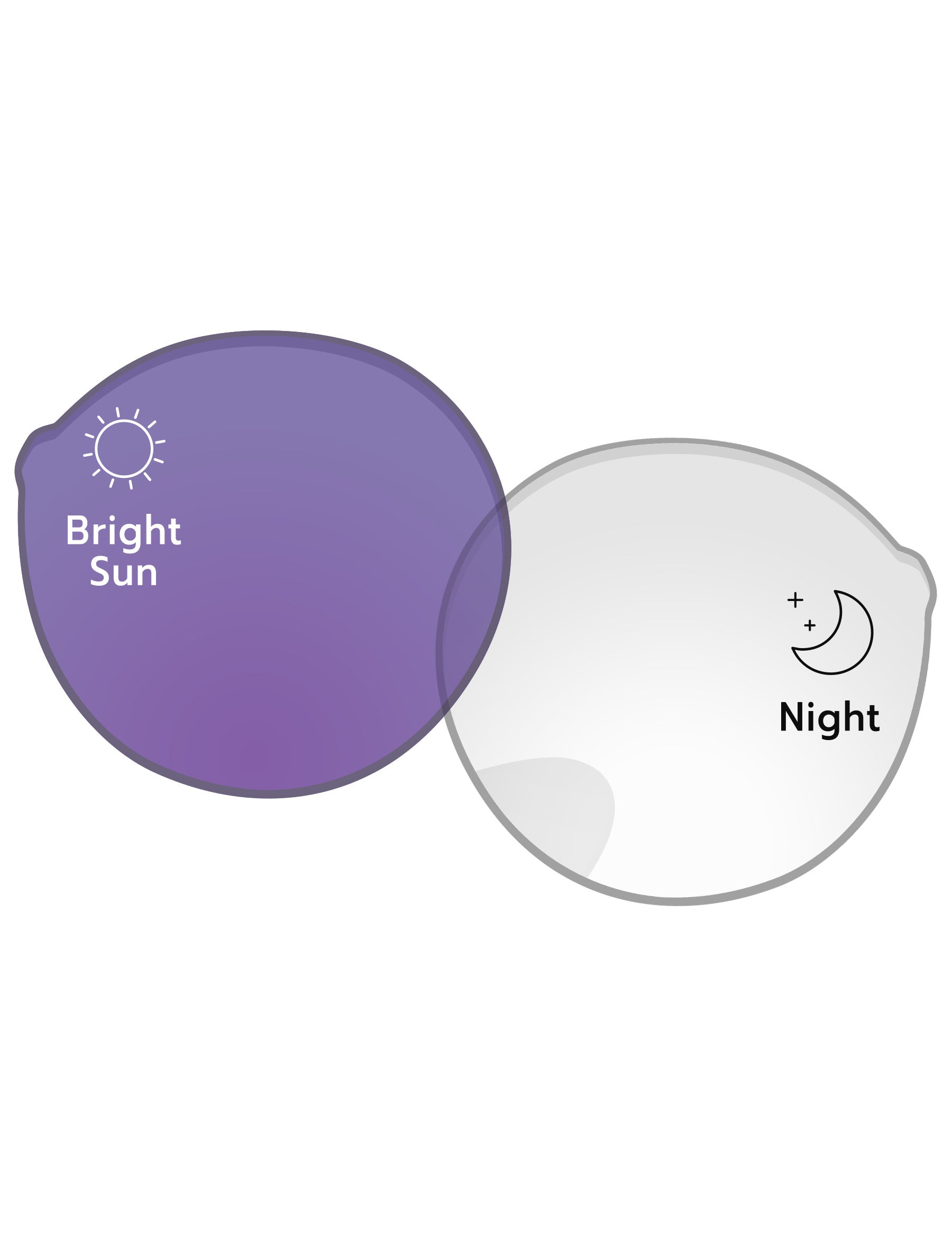 Adapt Purple Photochromic-Standard