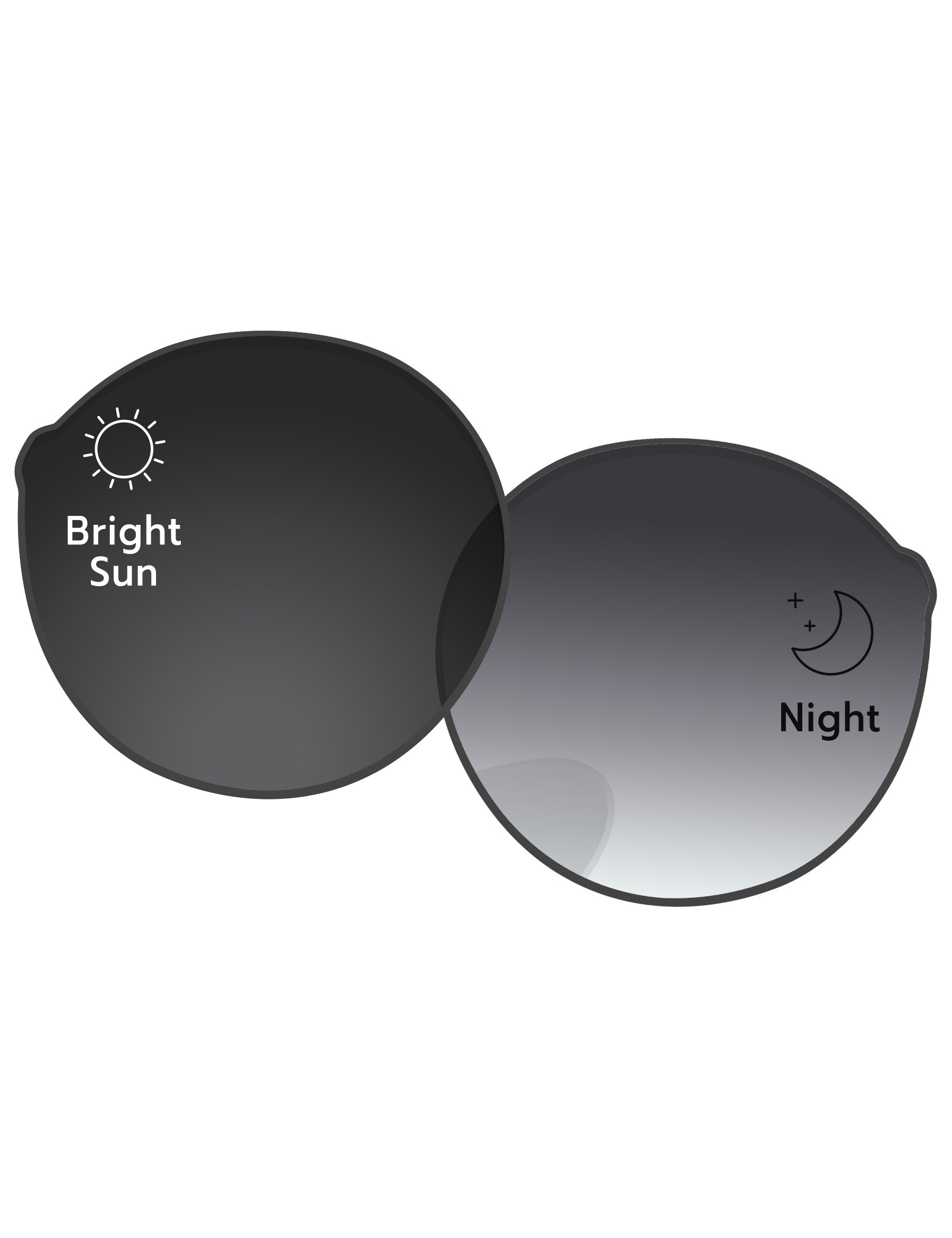 Gray Gradient Photochromic-Standard