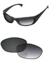 Gray Gradient Photochromic-Standard
