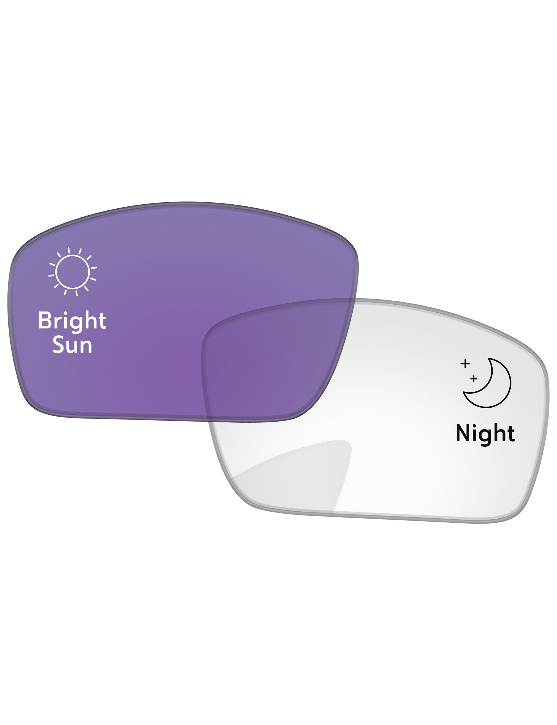 Adapt Purple Photochromic-Standard