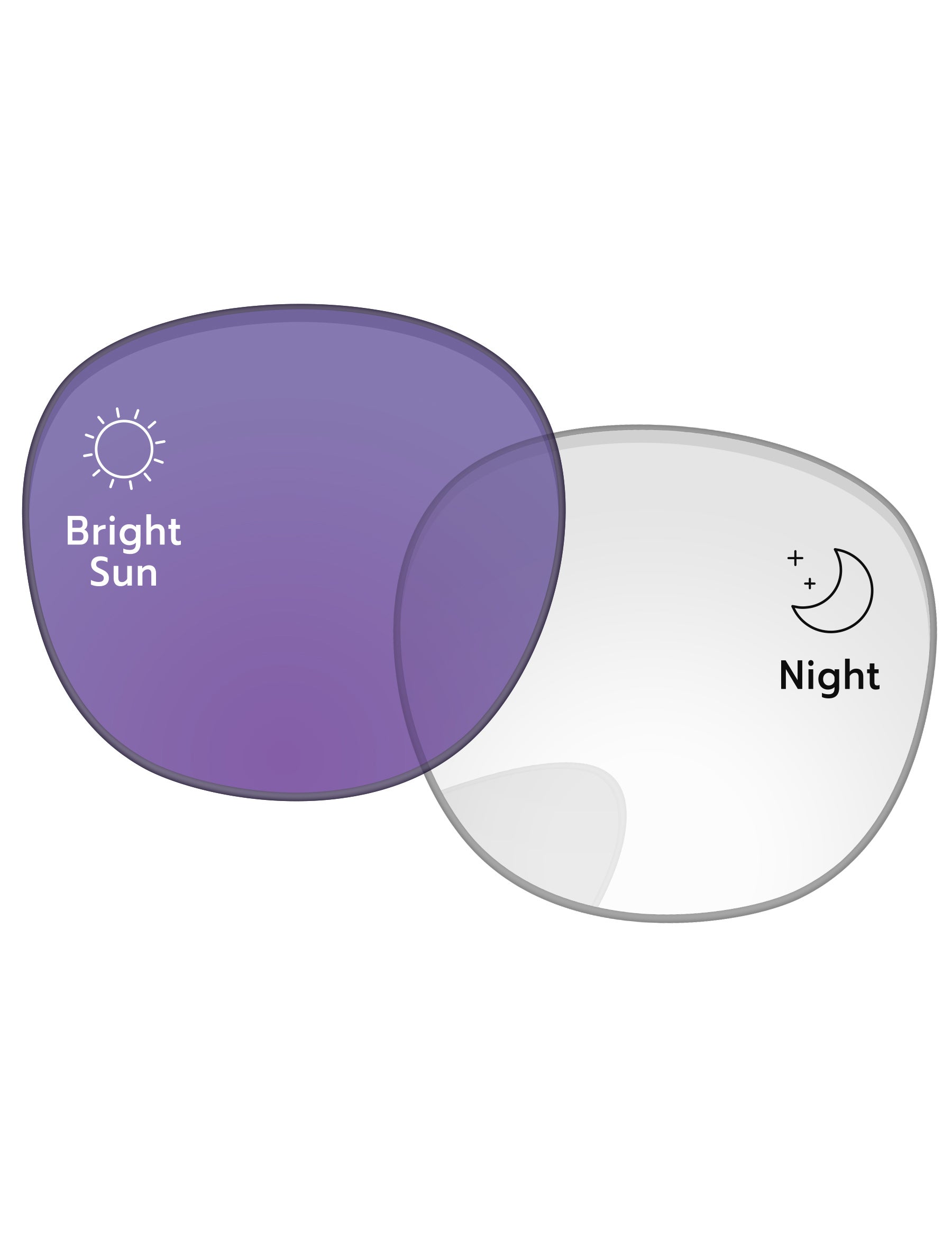 Adapt Purple Photochromic-Standard