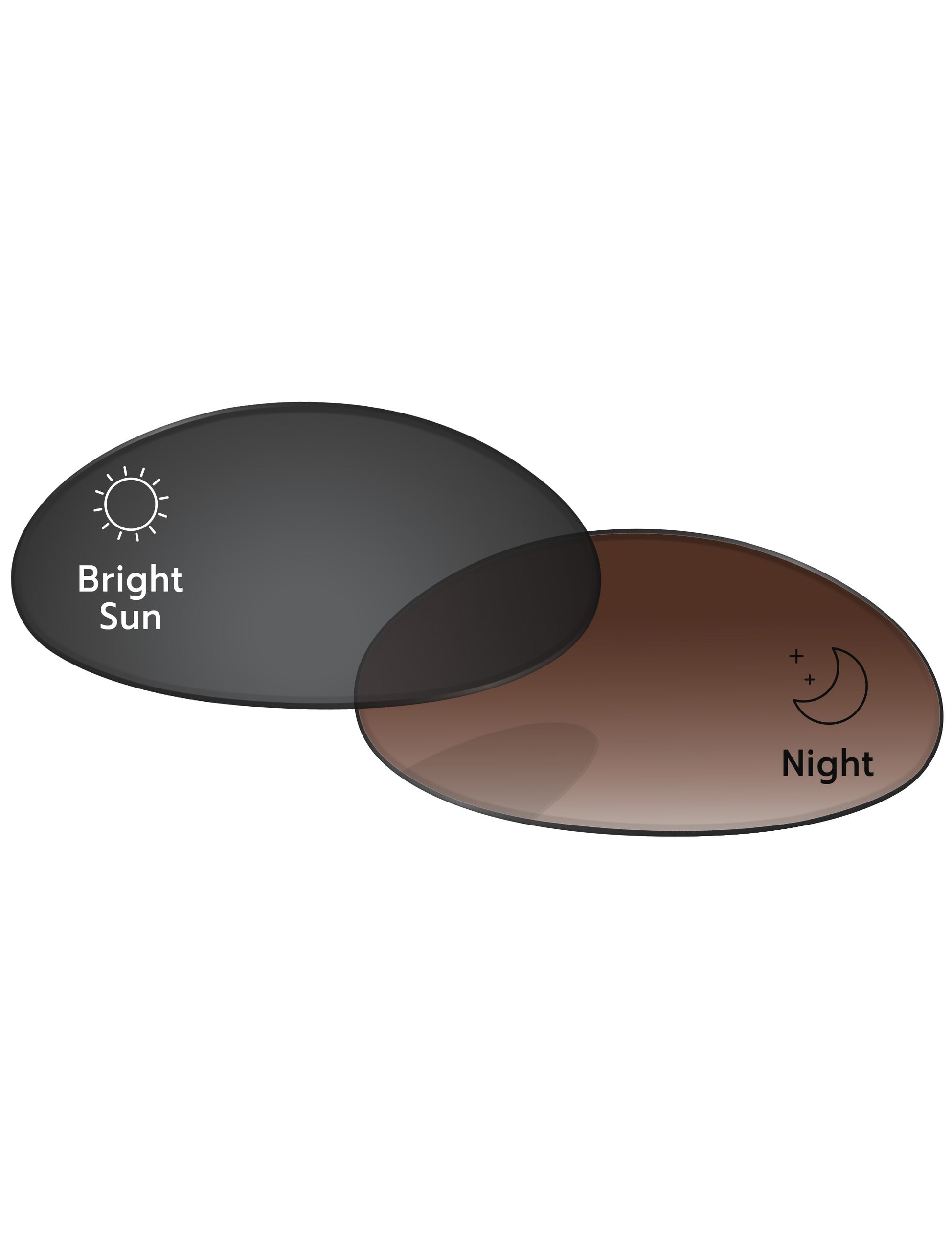 Brown Gradient Gray Photochromic-Standard