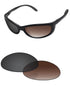 Brown Gradient Gray Photochromic-Standard