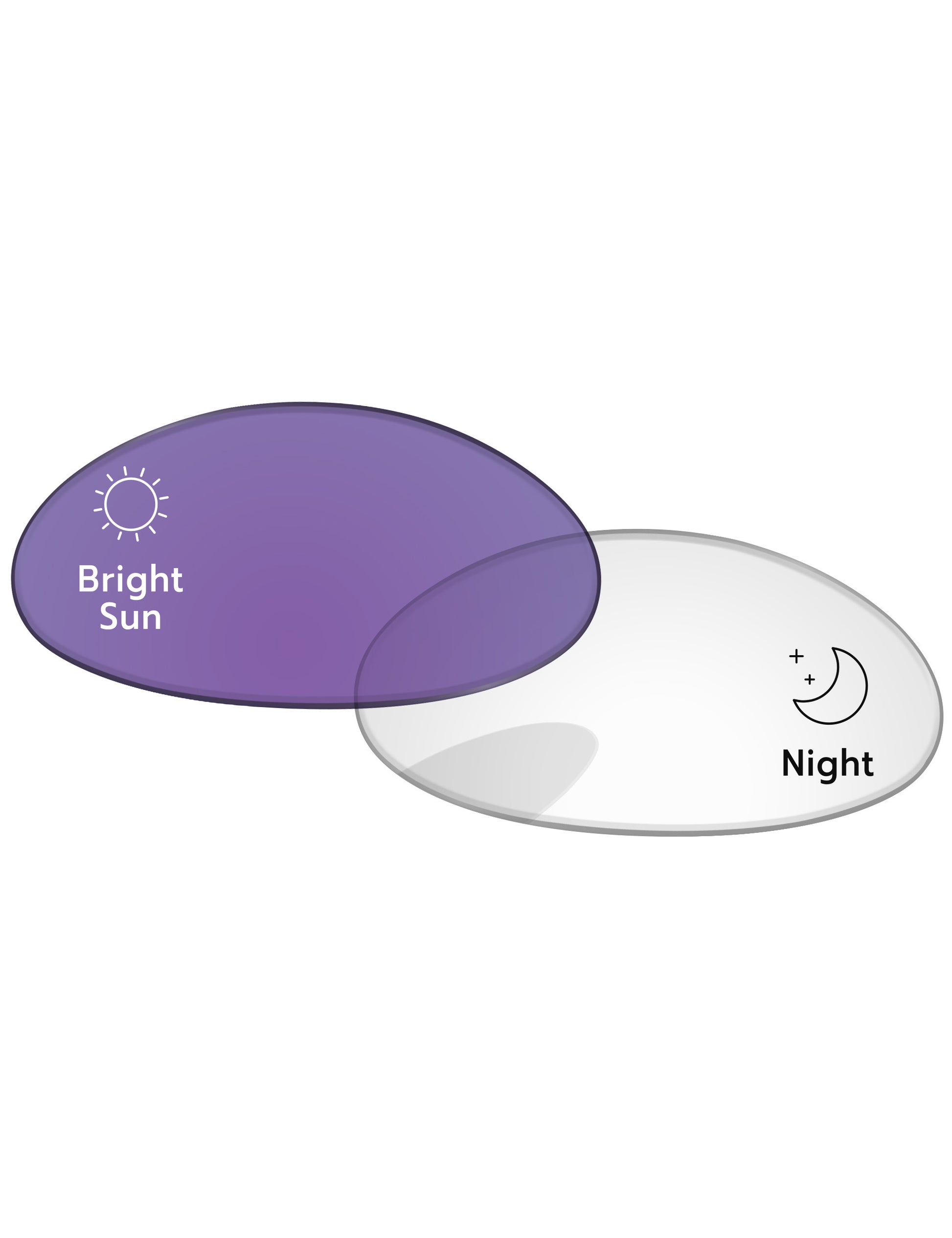 Eclipse Purple Photochromic-Standard