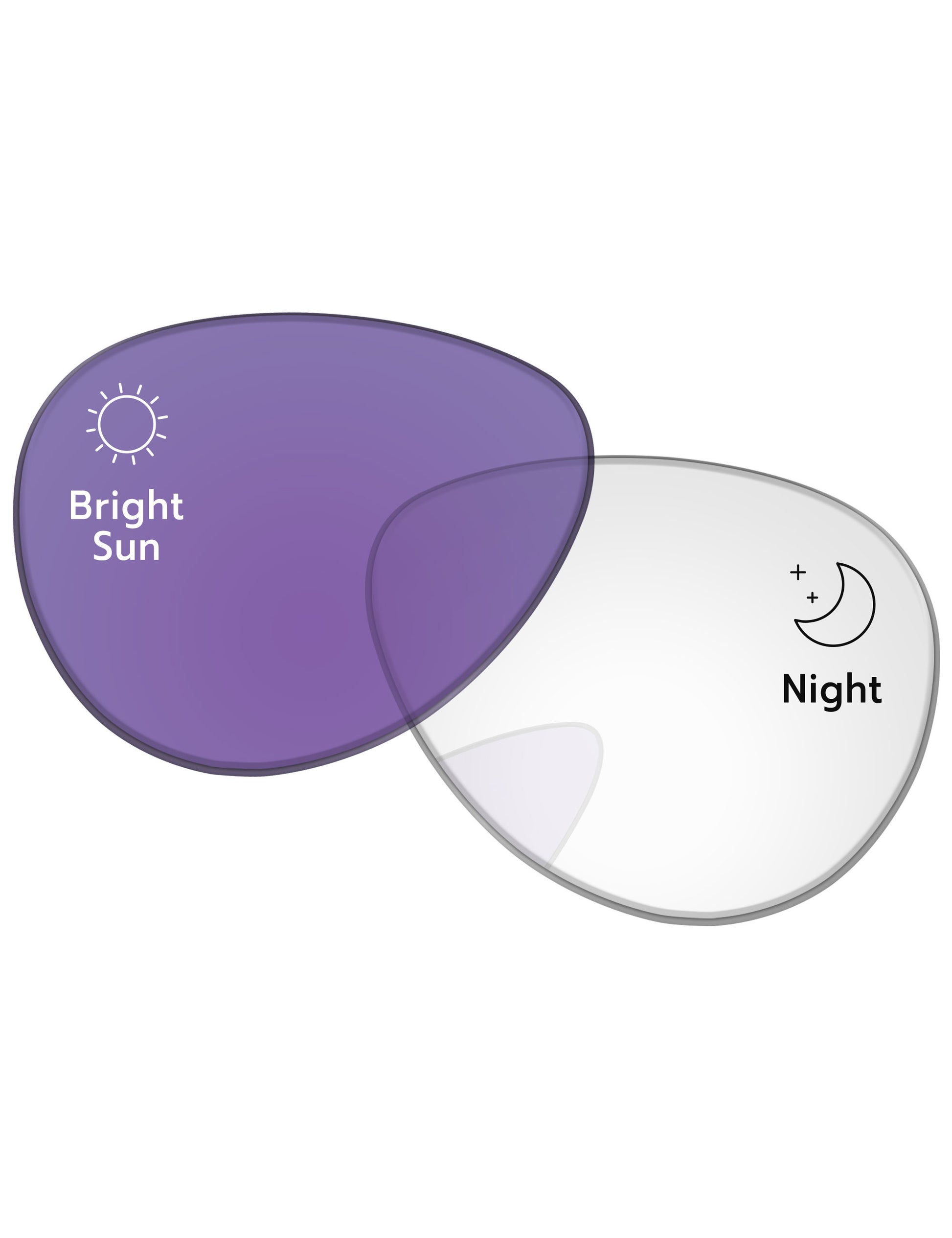 Adapt Purple Photochromic-Standard