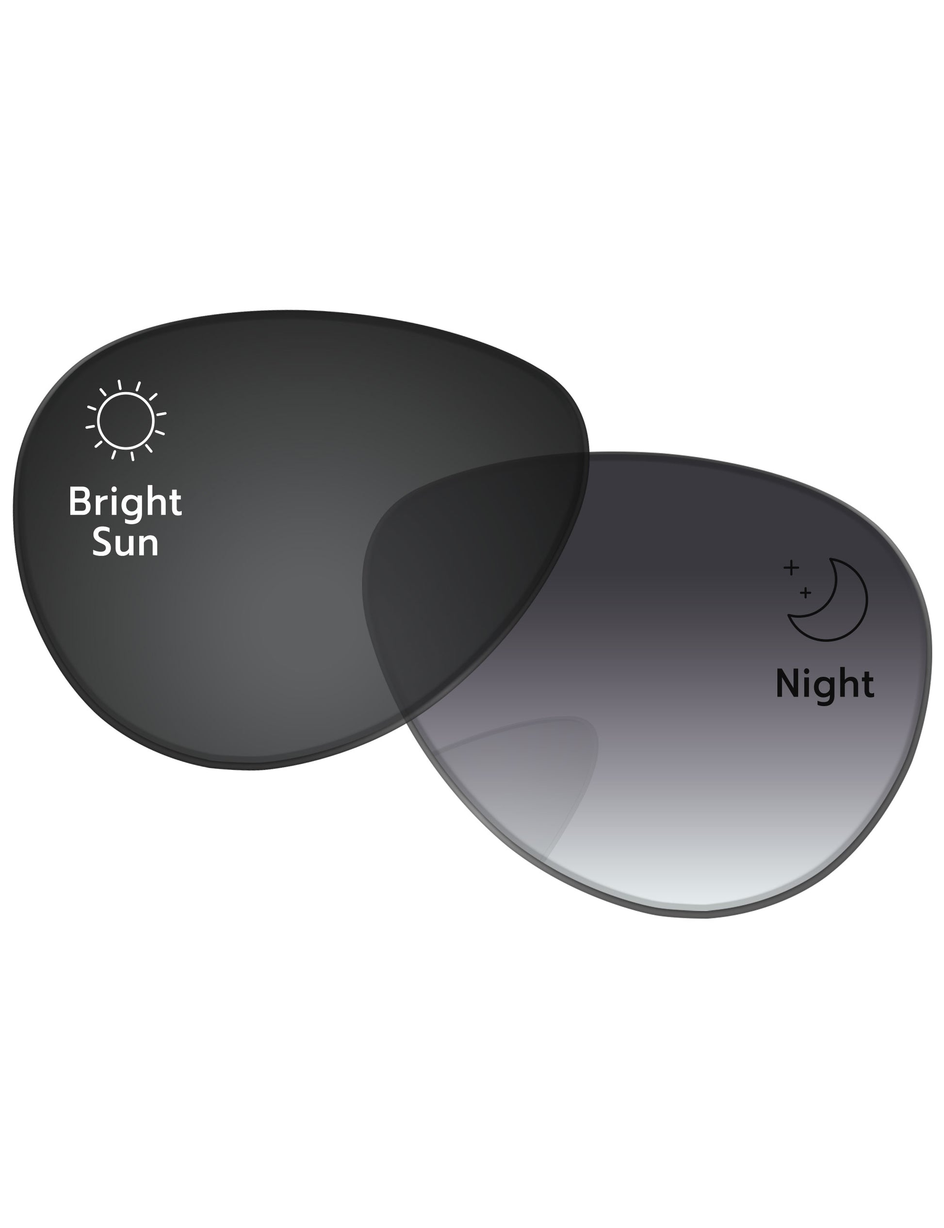 Gray Gradient Photochromic-Standard