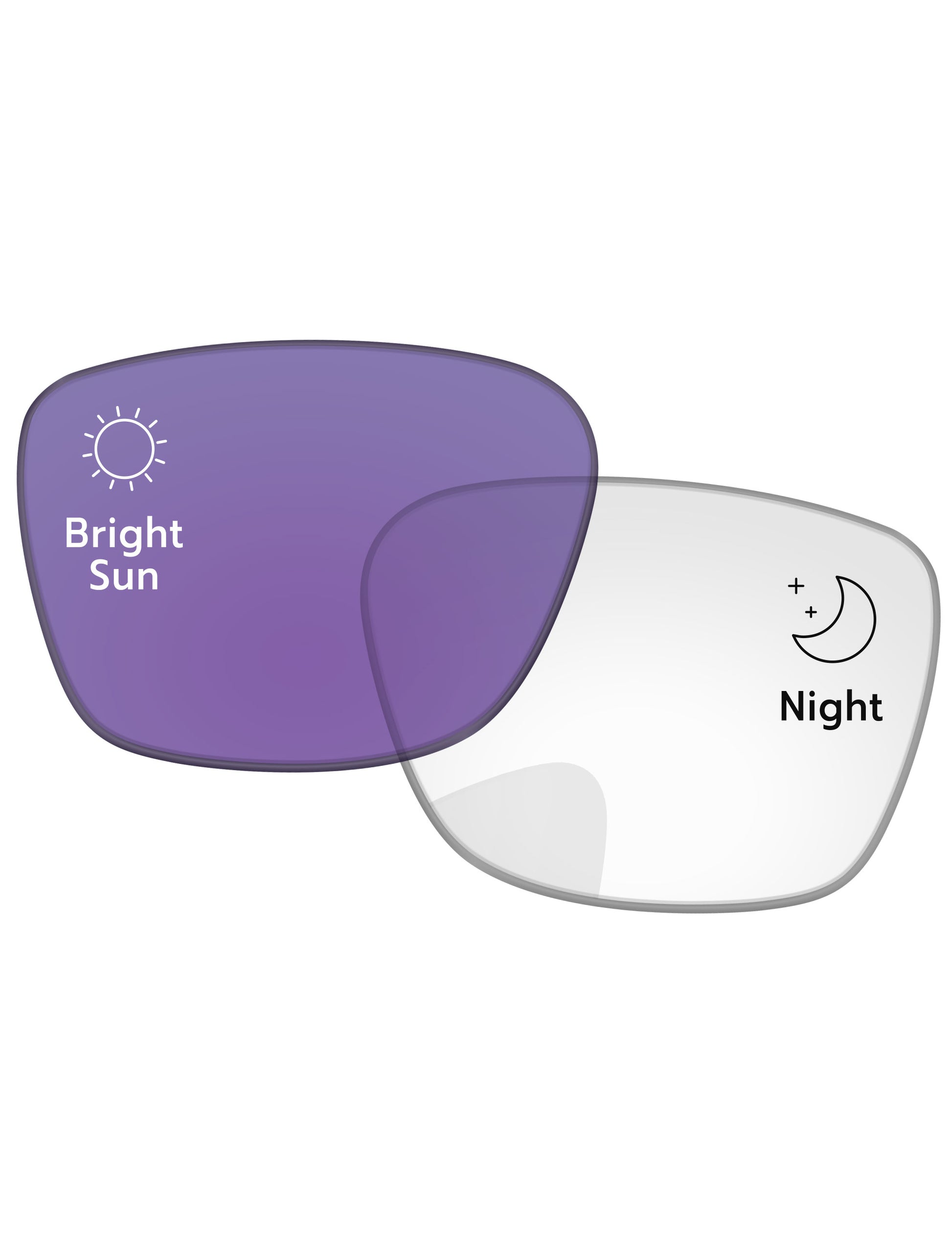 Adapt Purple Photochromic-Standard