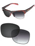 Gray Gradient Photochromic-Standard