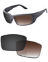 Brown Gradient Gray Photochromic-Standard