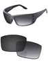 Gray Gradient Photochromic-Standard