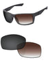 Brown Gradient Gray Photochromic-Standard