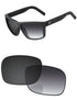 Gray Gradient Photochromic-Standard
