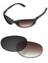 Brown Gradient Gray Photochromic-Standard