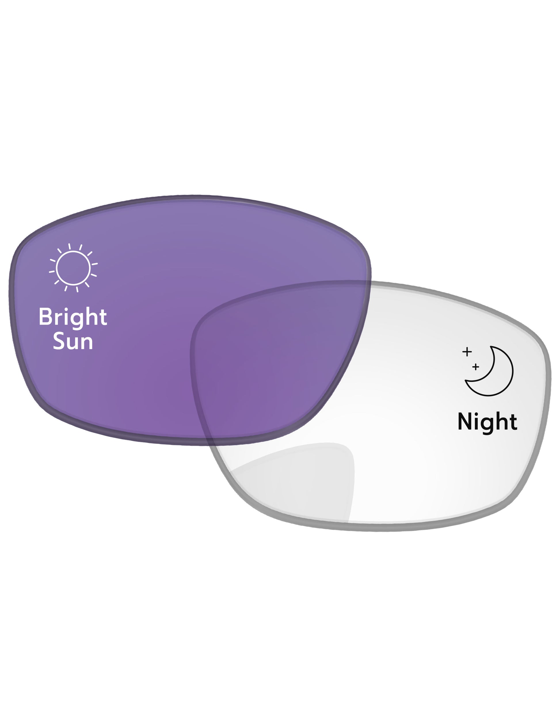 Adapt Purple Photochromic-Standard