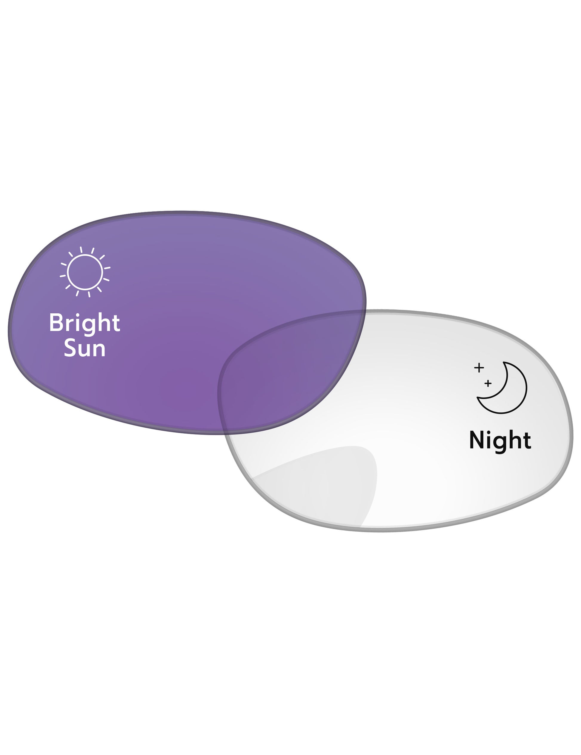 Adapt Purple Photochromic-Standard