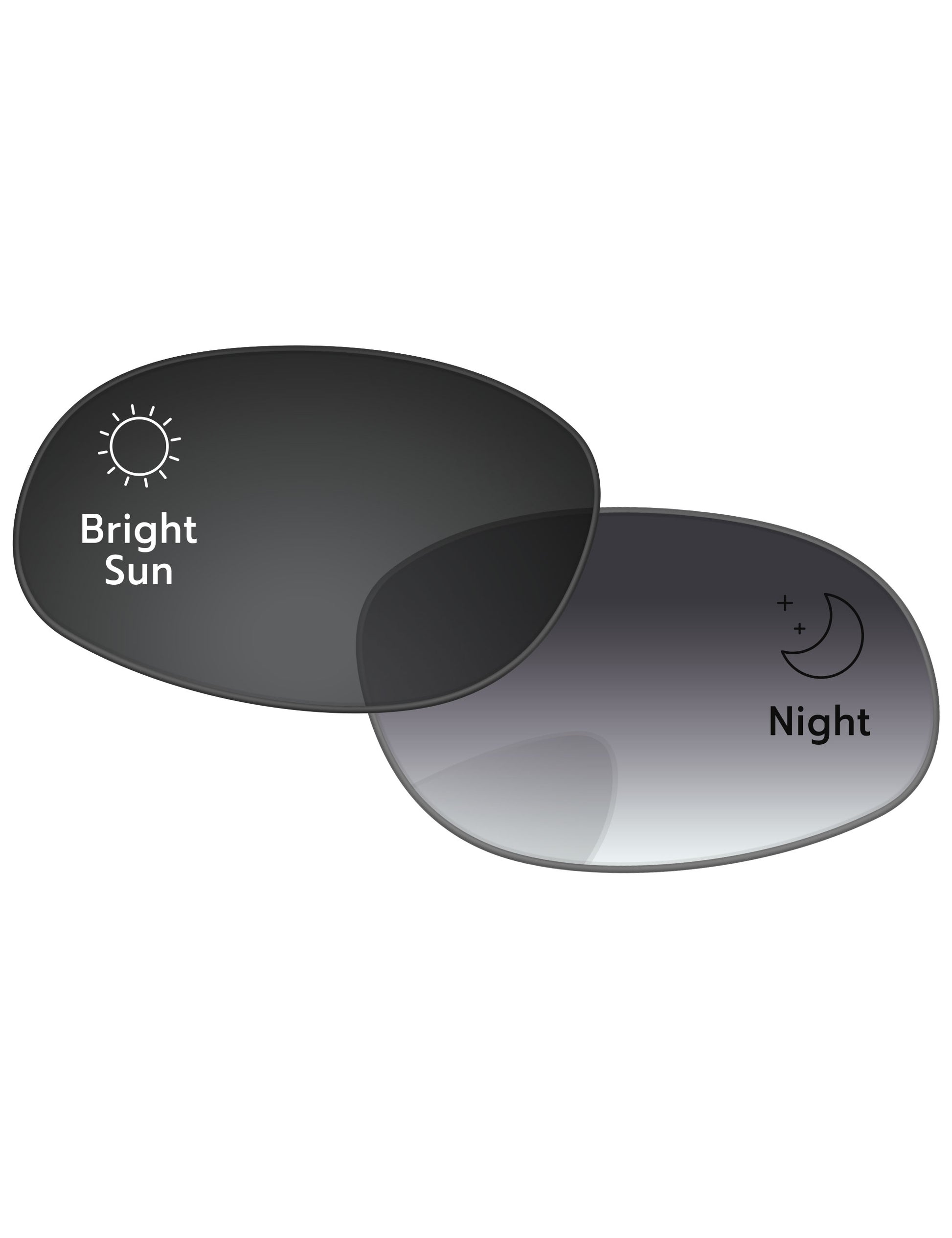 Gray Gradient Photochromic-Standard
