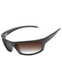 Brown Gradient Gray Photochromic-Standard