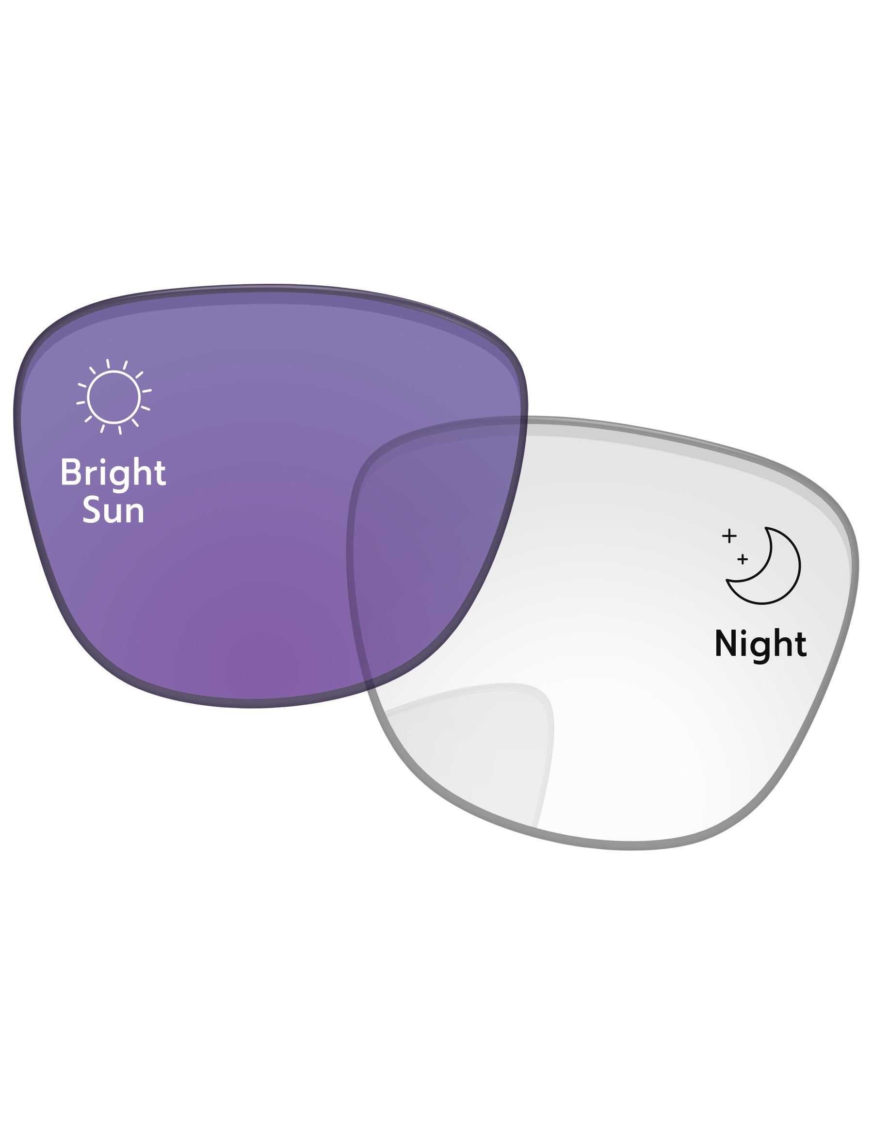 Adapt Purple Photochromic-Standard