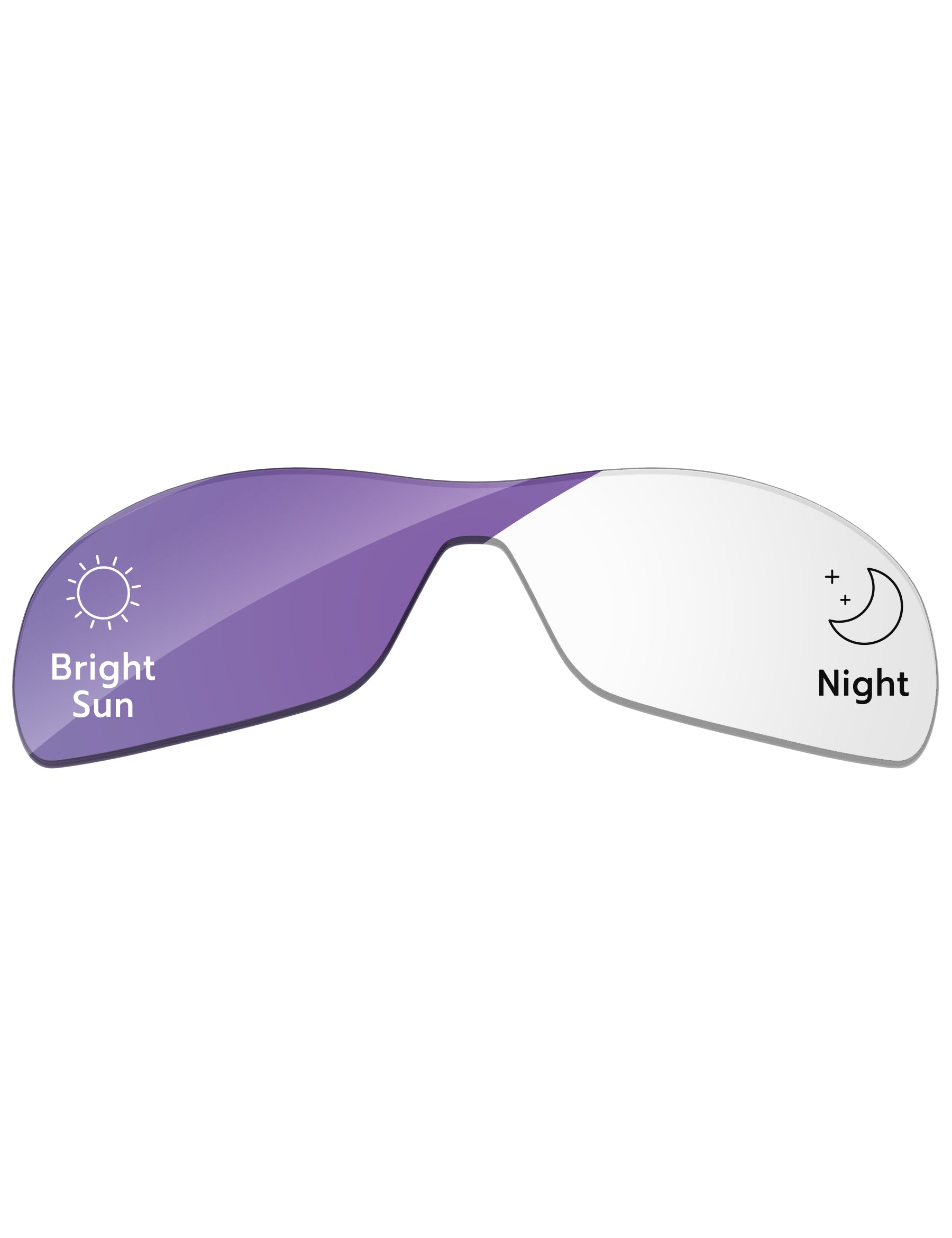 Eclipse Purple Photochromic-Standard