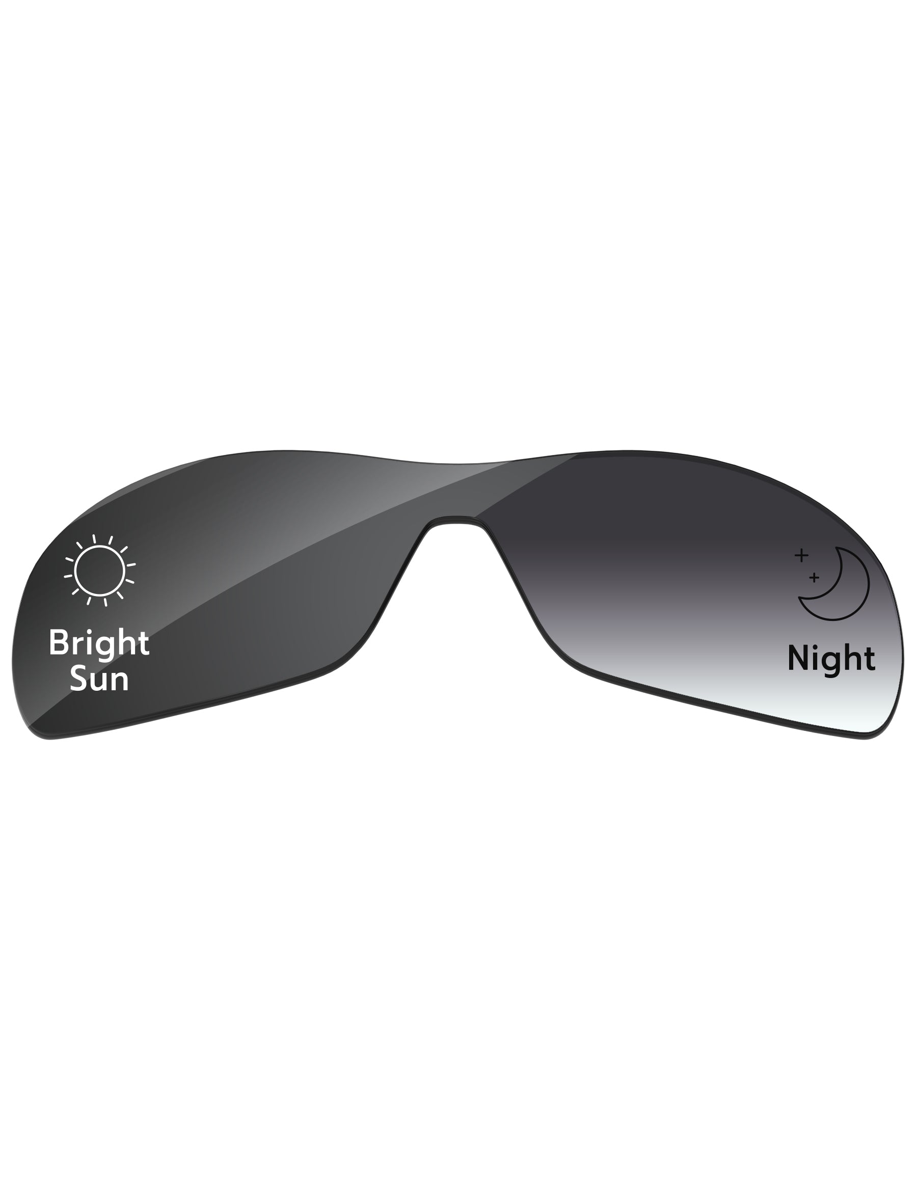 Gray Gradient Photochromic-Standard