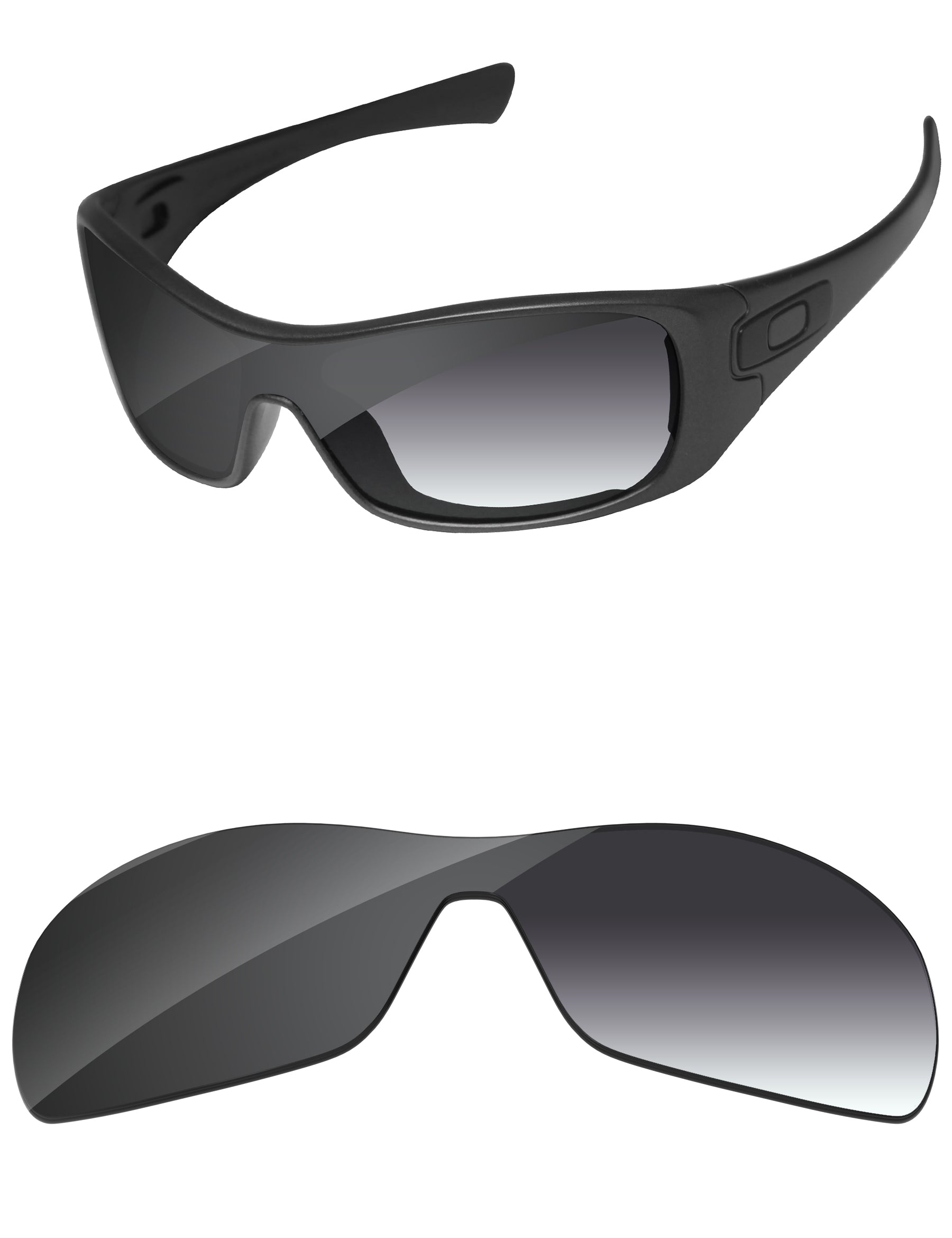 Gray Gradient Photochromic-Standard