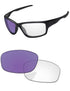 Adapt Purple Photochromic-Standard