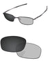 Gray Photochromic-Pro