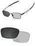 Gray Photochromic-Pro