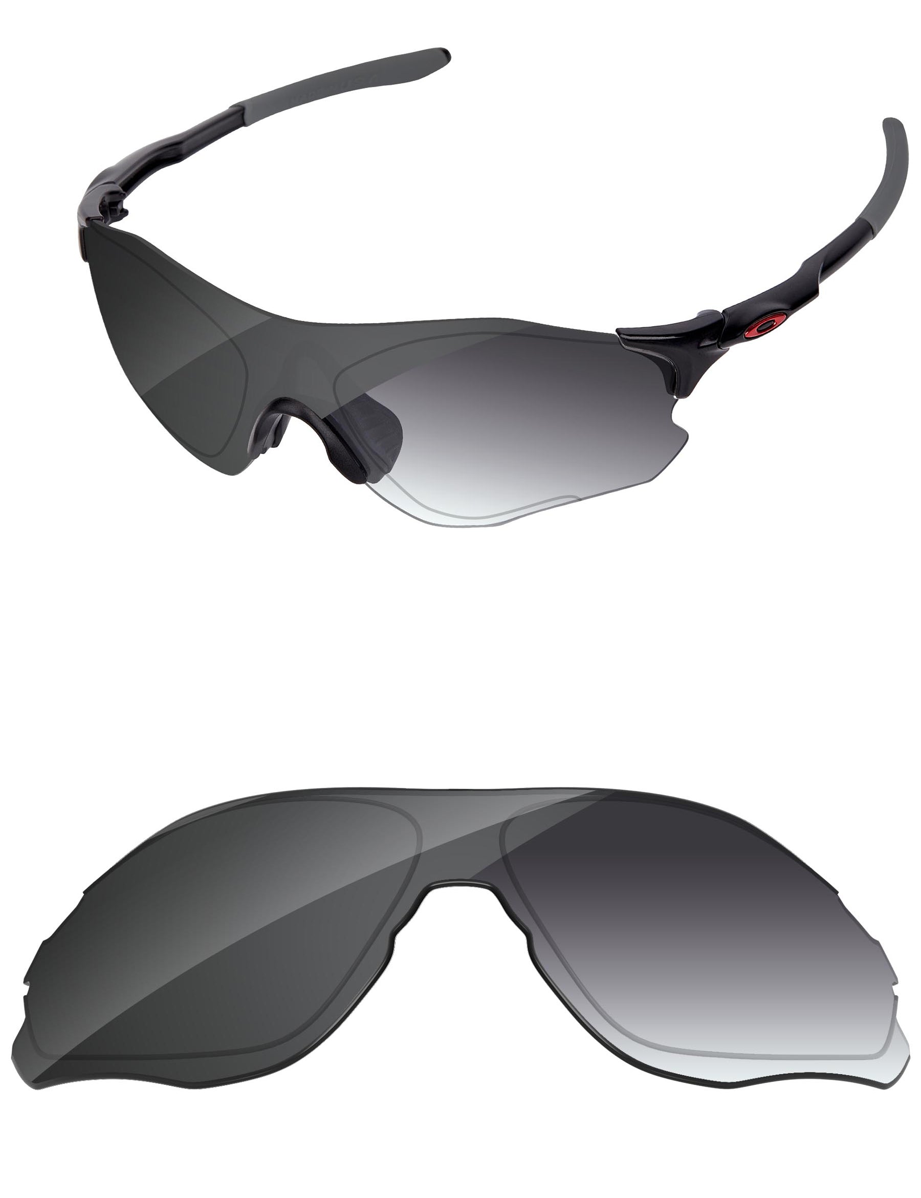 Gray Gradient Photochromic-Standard