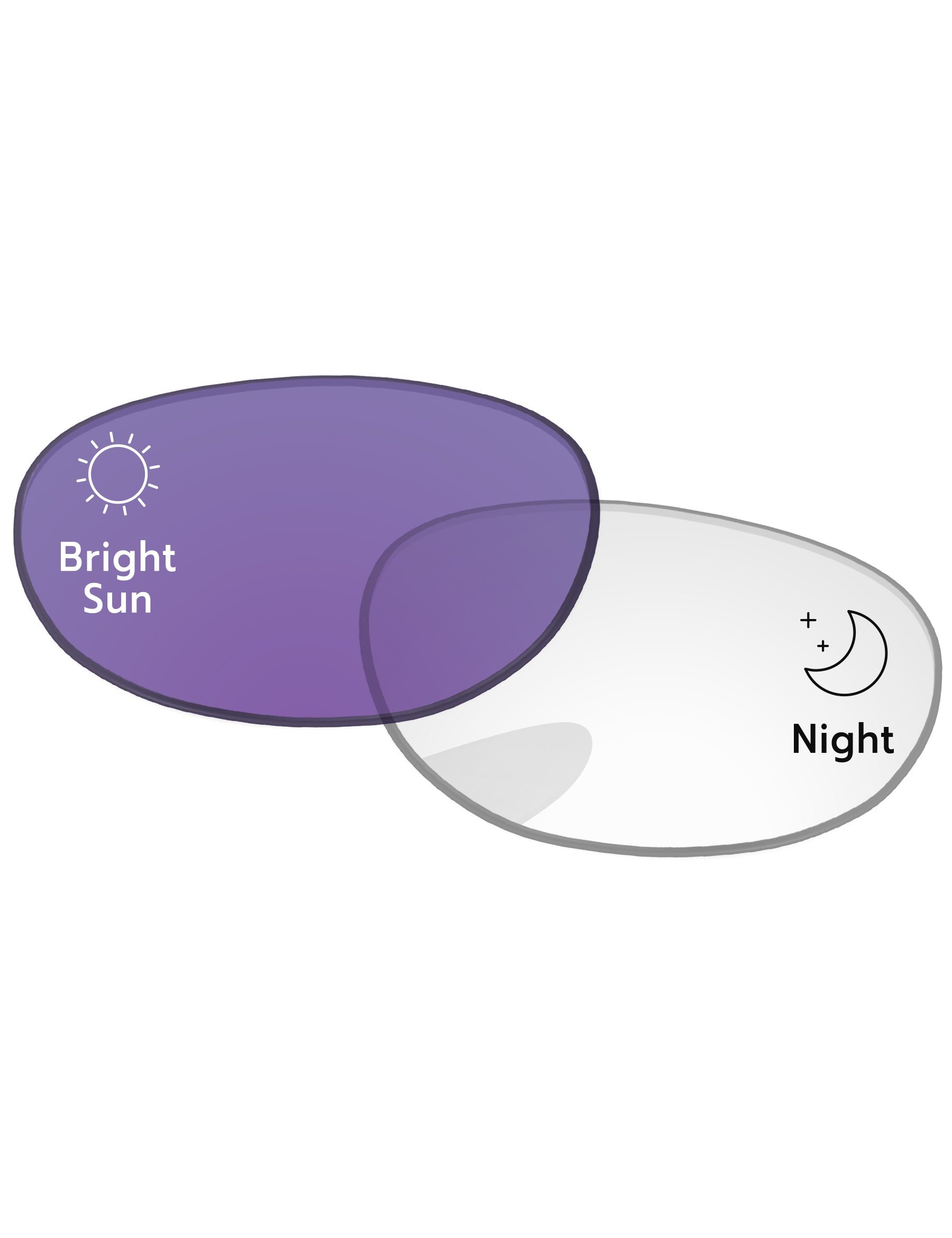 Eclipse Purple Photochromic-Standard