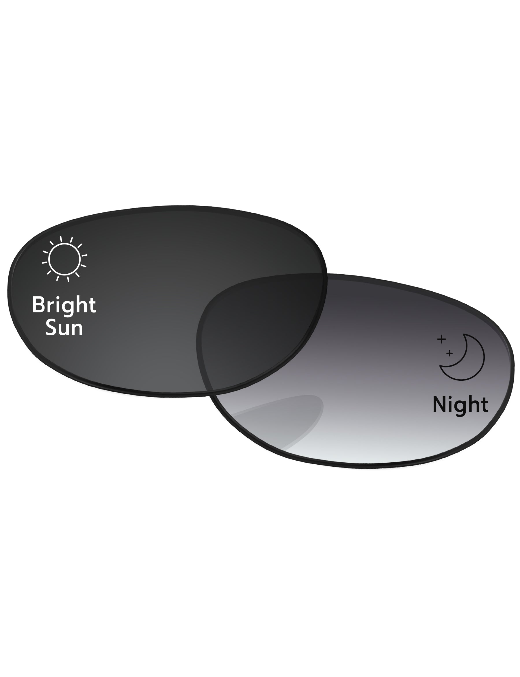 Gray Gradient Photochromic-Standard